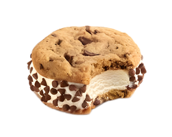Ice Cream Sandwich